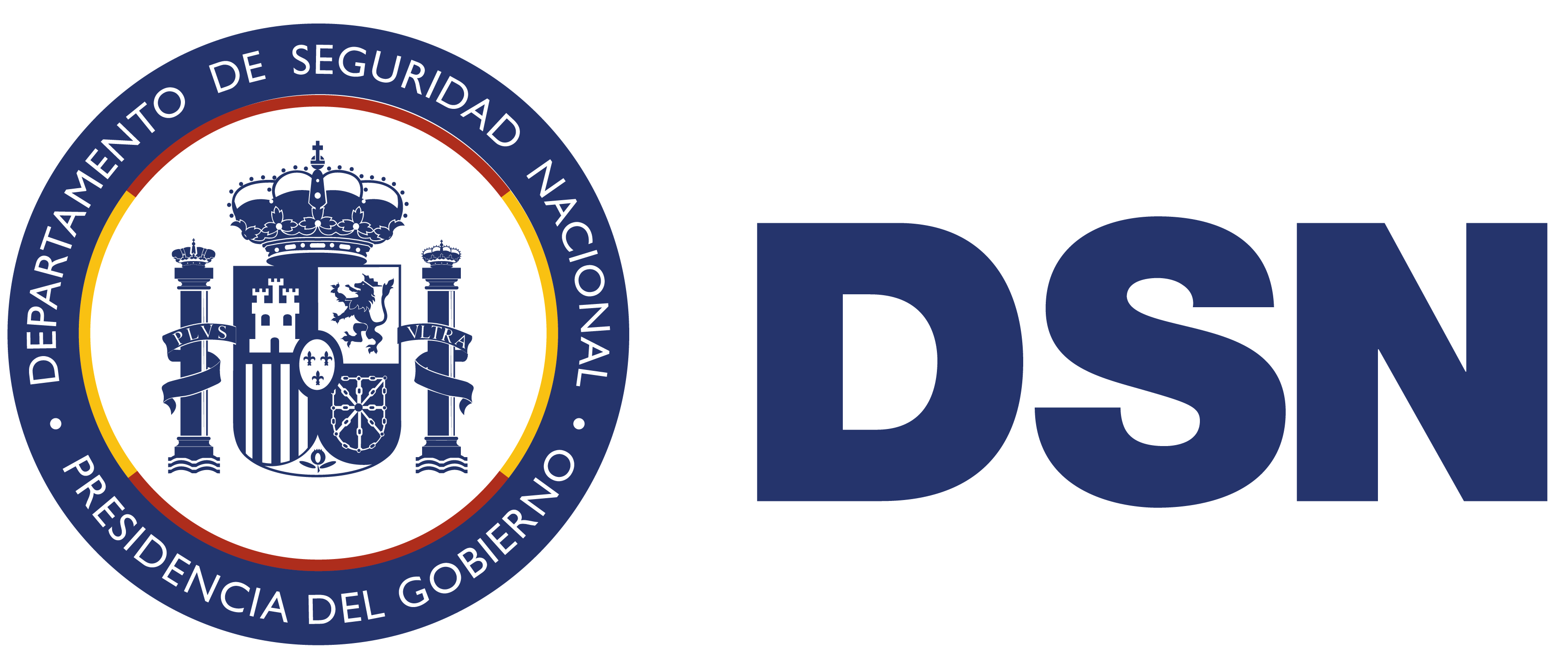 Logo DSN Azul Nuevo