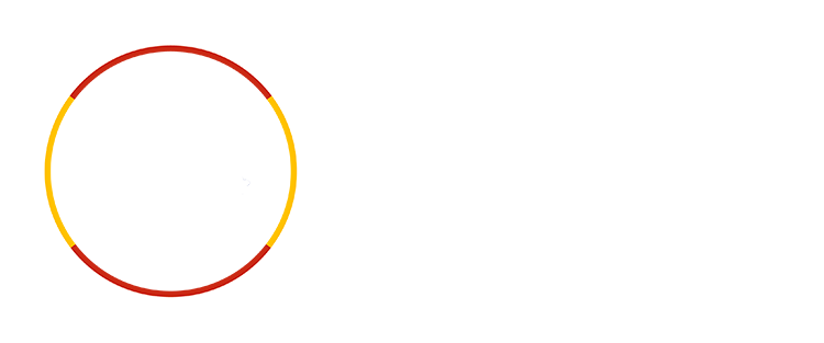 Logo DSN Transparente