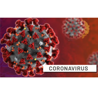 Coronavirus (2019-nCoV) - 07 de febrero 2020