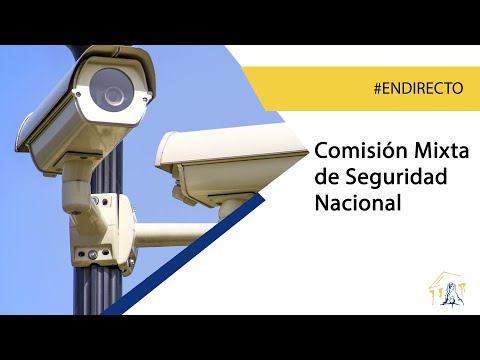 Comisión Mixta de Seguridad Nacional (25/04/2022)