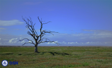 Cambio Climático